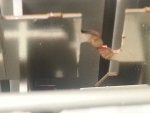 20151122_213533.jpg